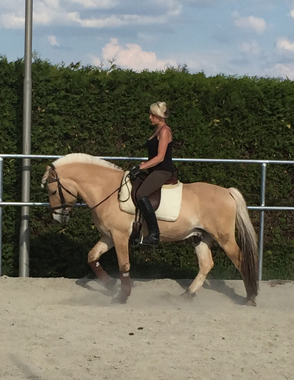 Reiten